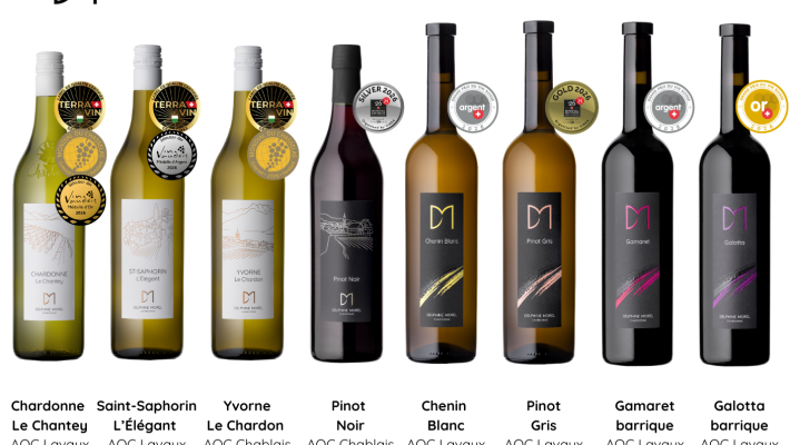 12 DISTINCTIONS EN 2026 !